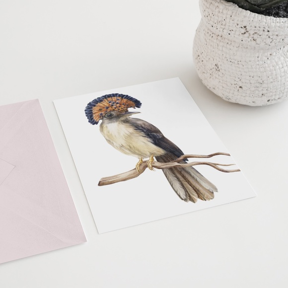 Flycatcher Bird Wall Art Watercolor Illustration Print Poster Card Unframed - Picture 7 of 7